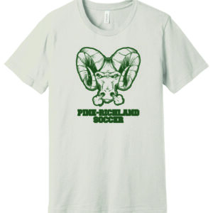 Bella Canvas Jersey Tee - Youth, Adult